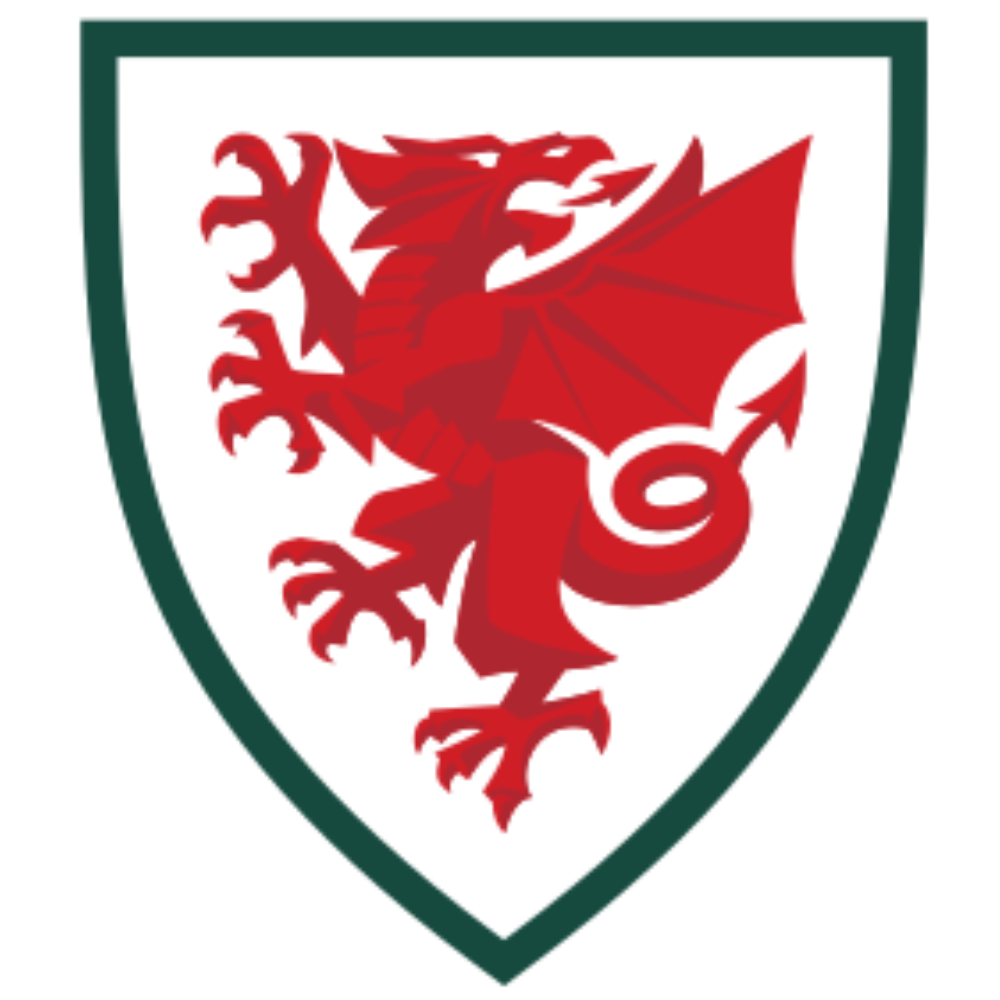 Club badge 2